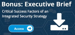 Critical Success Factors of an Integrated Security Strategy