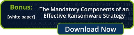 Mandatory Components for Effective Ransomware Protection Strategy