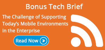 Challenge of Supporting Today's Mobile Environments in the Enterprise